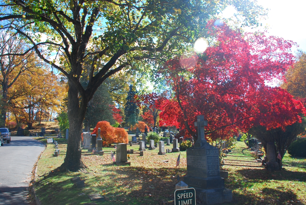 DSC_4561.JPG